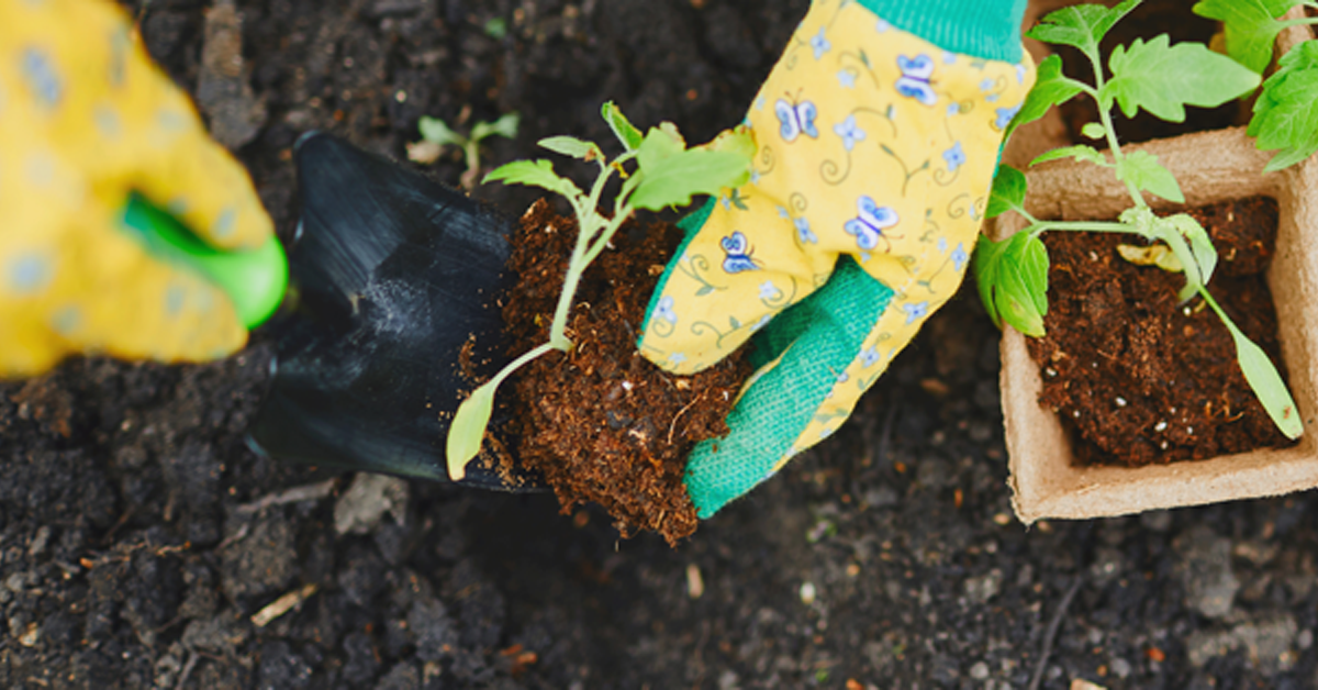 2019.10.17_Calgary_Food_Bank_-_original_resize_1200x628