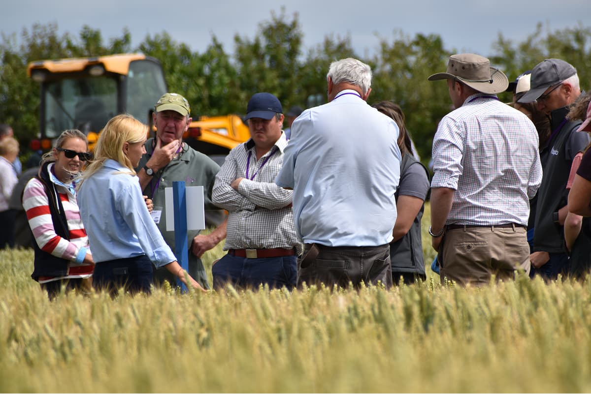 A NIAB specialist talks through crop performance with a group of farmers standing in a wheat field at a NIAB trials open day, with agricultural machinery behind them.