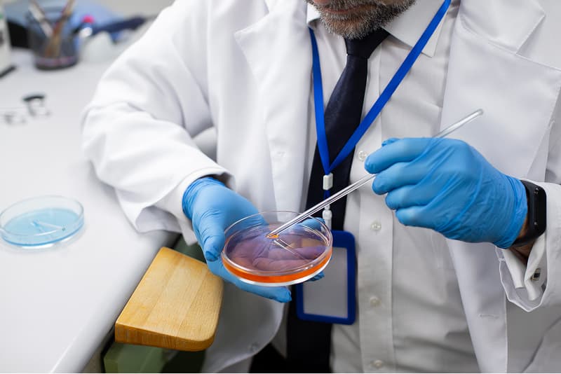 Researcher in a lab coat and gloves examining a sample in a petri dish
