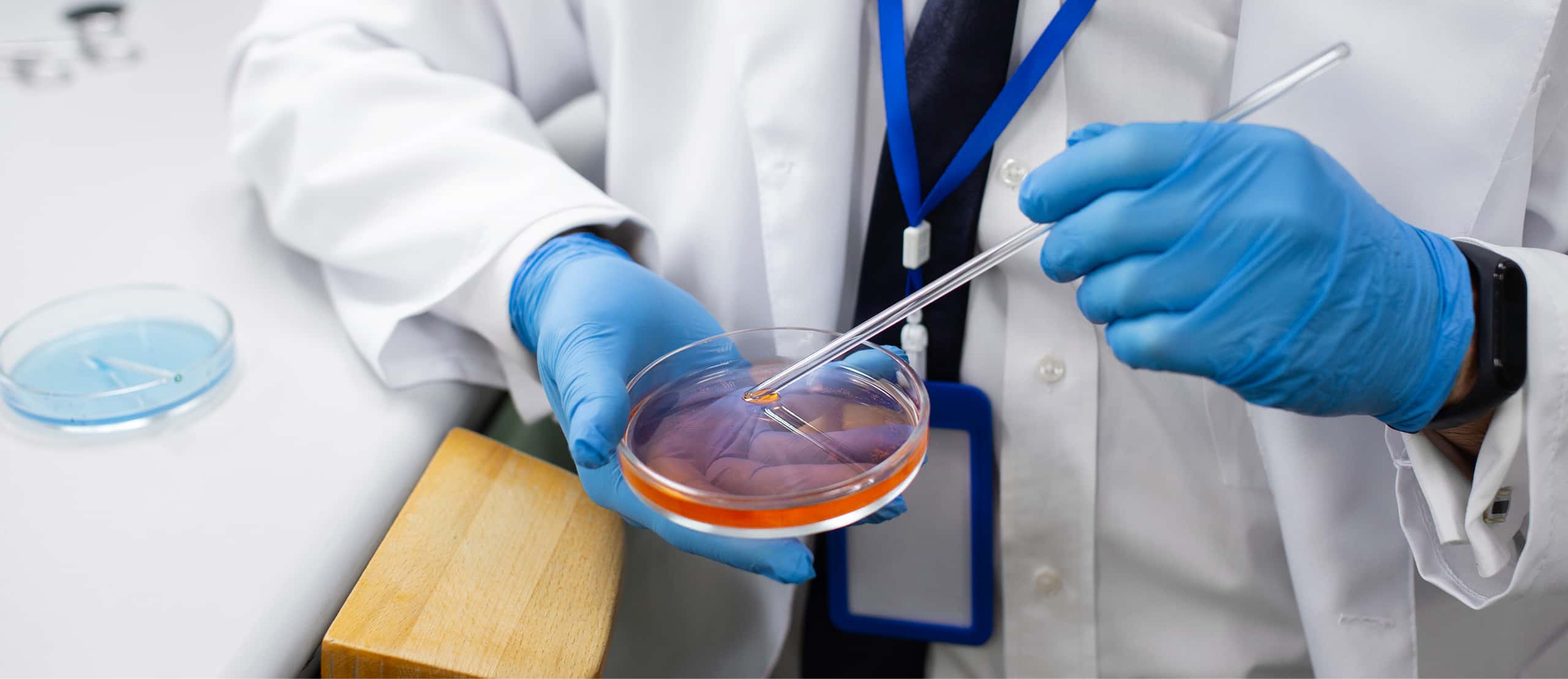 research-lab.jpg Researcher in a lab coat and gloves examining a sample in a petri dish