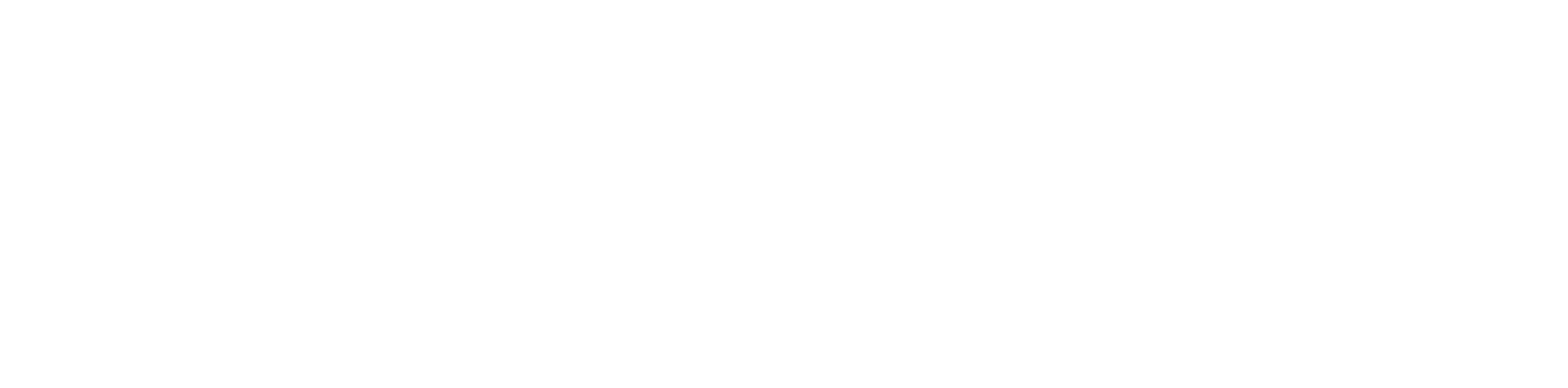 Decisions logo in white